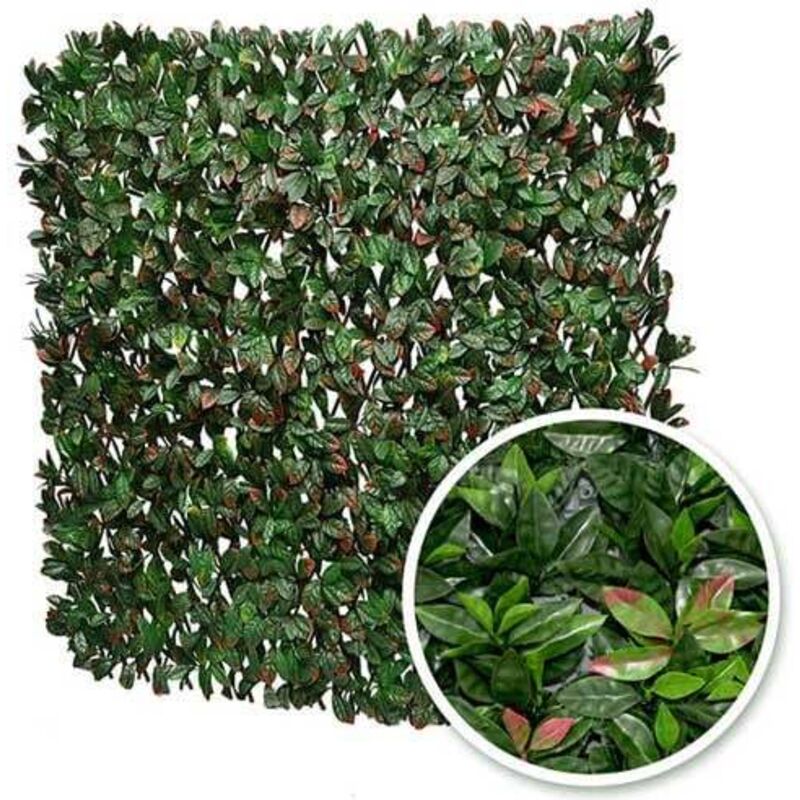 Treillis extensible feuillage photinia, Long 4 m, Hauteur 1 m