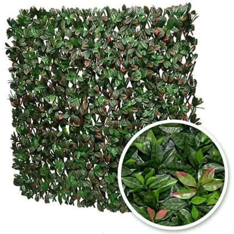 Atout Loisir - Treillis extensible feuillage photinia, Long 10 m, Hauteur 1 m