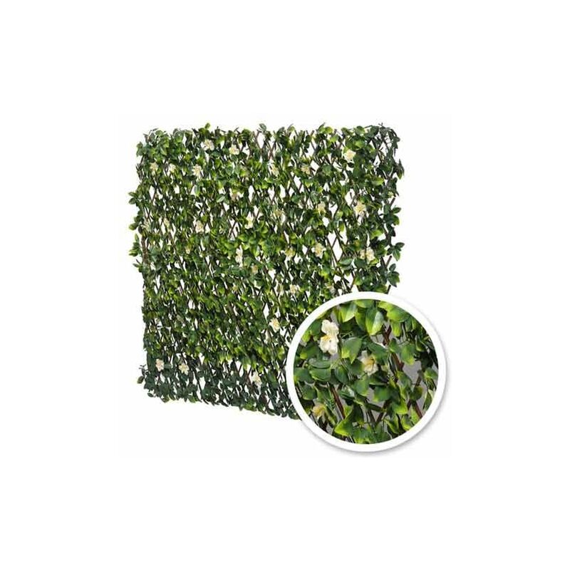 Atout Loisir - Treillis extensible feuilles de jasmin fleuri, Long 6 m, Hauteur 1 m