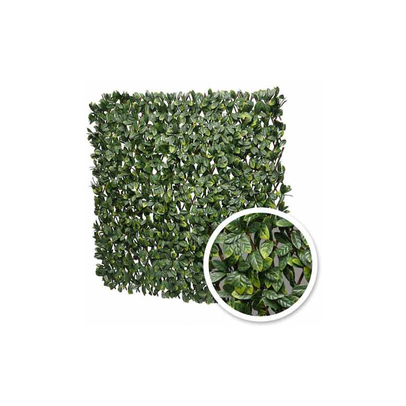 Treillis extensible feuilles de laurier amande, l 2 m, Hauteur 2 m - vert