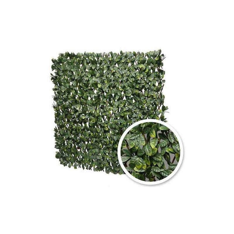 James Grass-france Green - Treillis extensible feuilles de laurier amande, l 29 m, Hauteur 3 m - vert