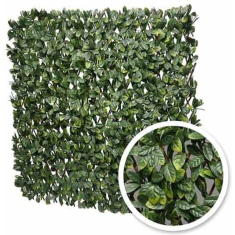 Treillis extensible feuilles de laurier amande - Long 2 m, Hauteur 2 m