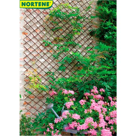 Nortene Treillis en osier 0,50 x 1,50 m WILLOW TRELLIS