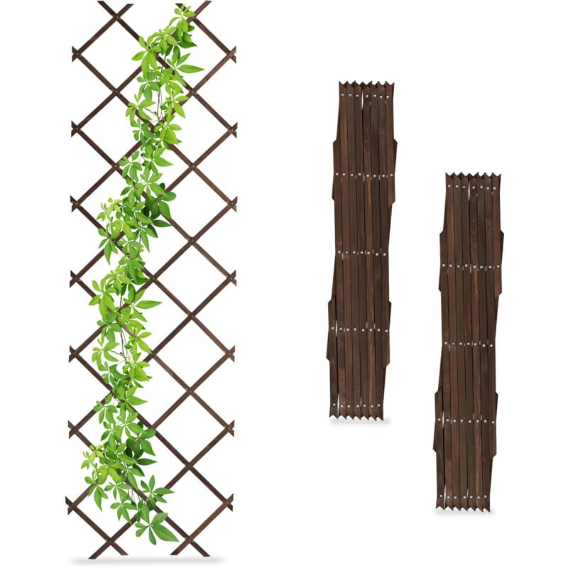 Relaxdays Tuteur à tomates en lot de 3, extensible, pour plantes grimpantes, 180 x 60 cm, pour jardin, balcon, marron