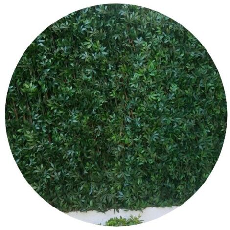Treillis feuilles de vigne vierge 1x2m – Bois de saule et PVC – Anti-UV et anti-feu – Pour séparation et occultation – Jet7Garden