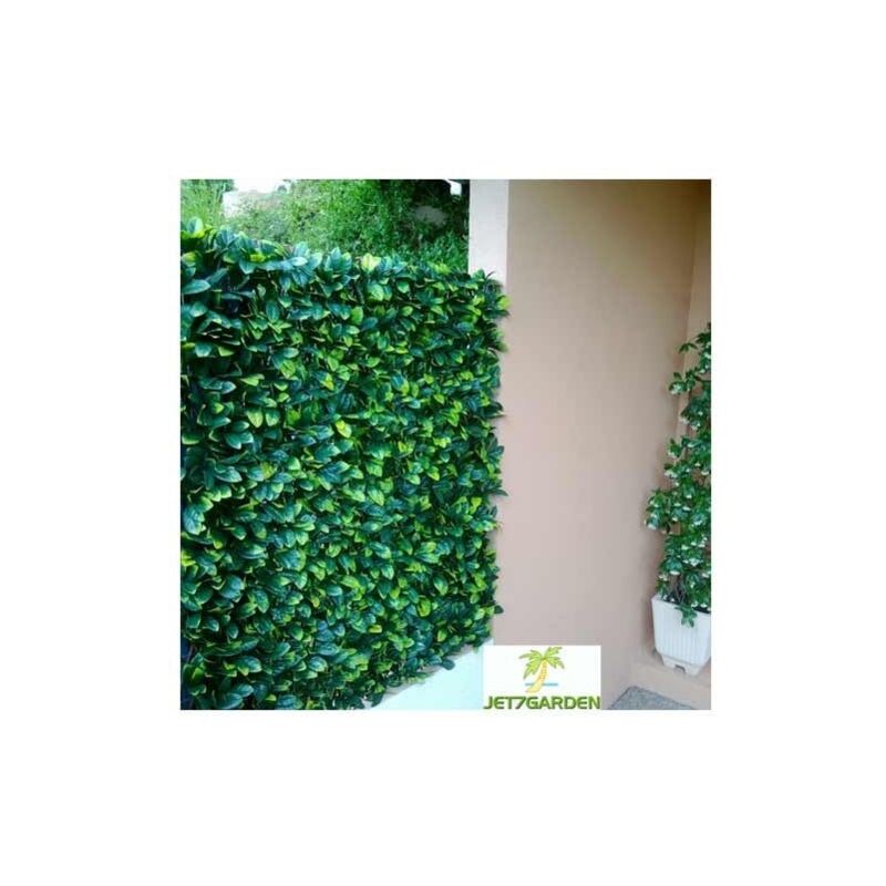 Treillis feuilles Troène doré - h 1 mètre, l 22 m - vert