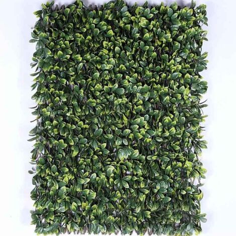 Treillis feuilles Troène doré - hauteur 1 mètre