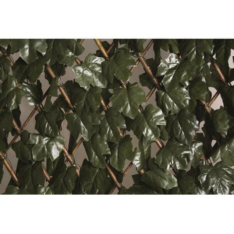 CATRAL - Treillis Osier extensible feuilles vertes - 1mx2m