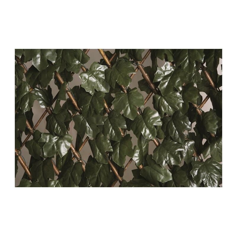 Treillis osier extensible à feuilles Catral - L.2 m - H.1 m