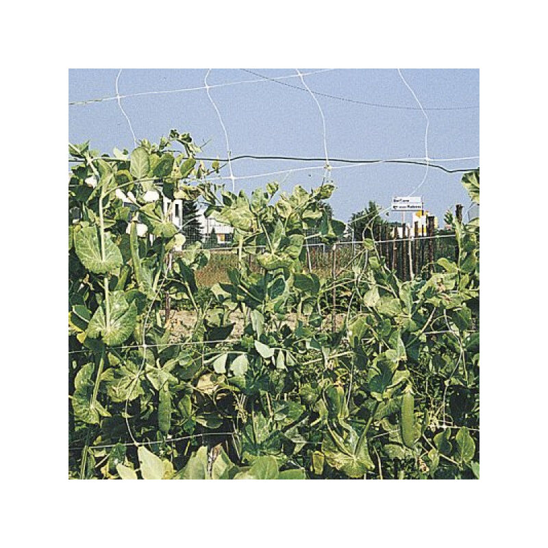 Treillis pour plantes grimpantes rampy 1.2x100 cm