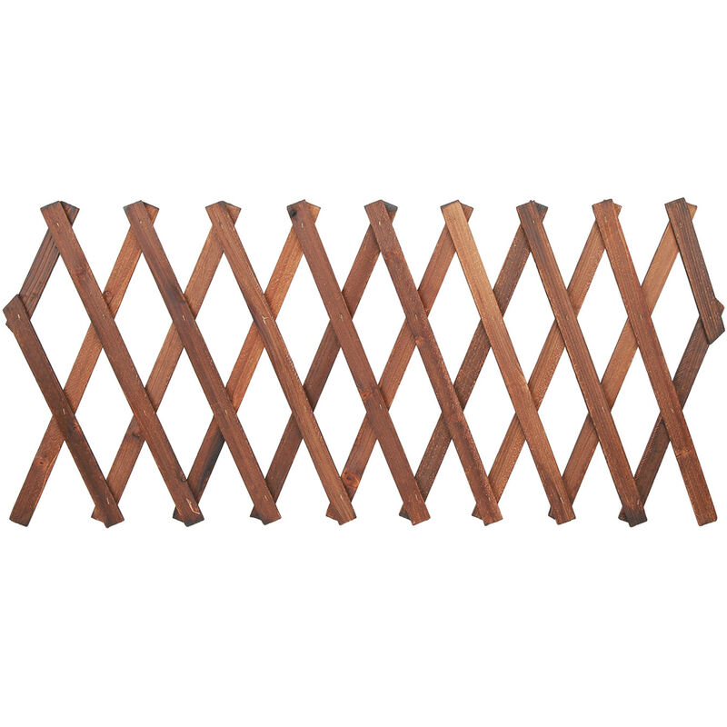 Prenfle - Treillis Végétal Extensible, Treillis Mural Décoratif Extérieur en Treillis en Bois, Support de Clôture en Treillis pour Fleurs de Vignes