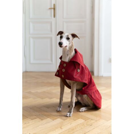 Trench idrorepellente per cani - Rosso Borgogna 9
