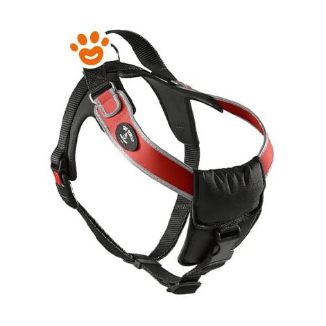 Treponti Pettorina Cani Taglia Grande Bordo Rifrangente XXL  - Treponti Pettorina Cani Taglia Grande Bordo Rifrangente XXL - Rosso