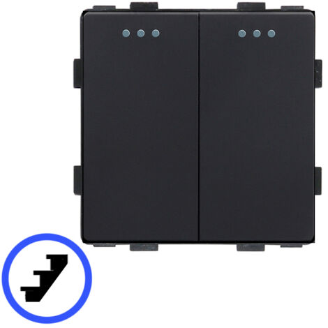 Treppenhauslichtschalter 2P mechanischer Einsatz schwarz RTX SH