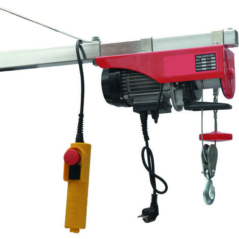 Treuil électrique 100 kg 220v mono vit.8 mm n câble d.3 mm long. 12 m LEVAC - 6531C200