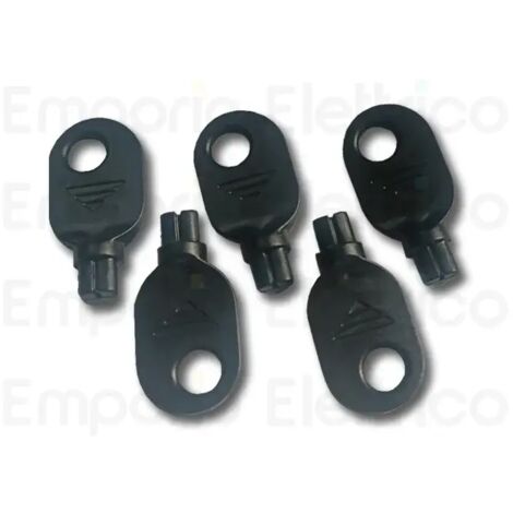 TRGKEY - 10 clés triangulaires en plastique CARDIN TRGKEY
