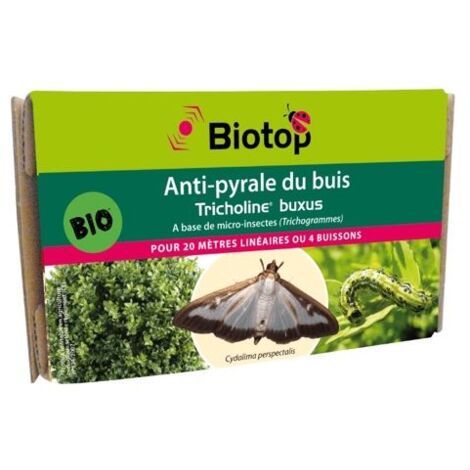 Trichogrammes anti pyrale de buis Tricholine Buxus