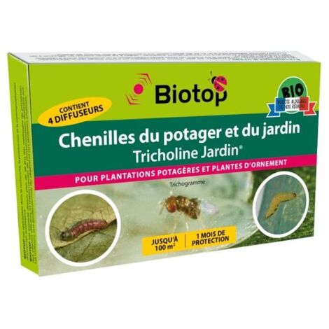 Tricholine jardins chenilles du potager
