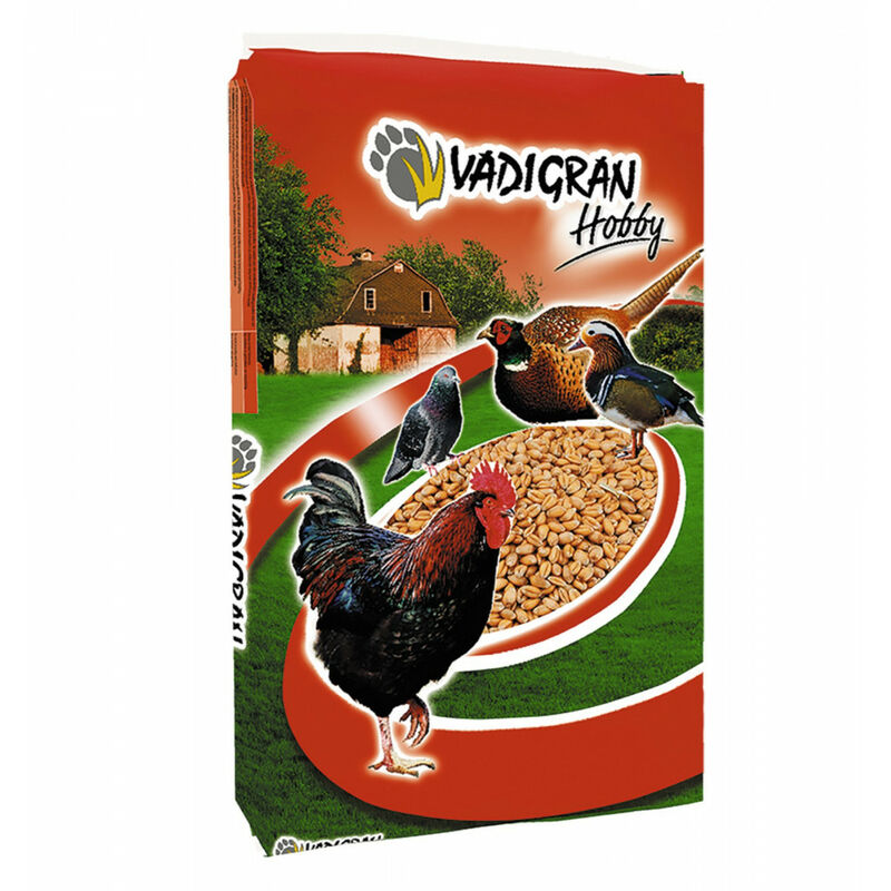 

Trigo. Hobby. Bolsa de 20 kg. para aves de corral.
