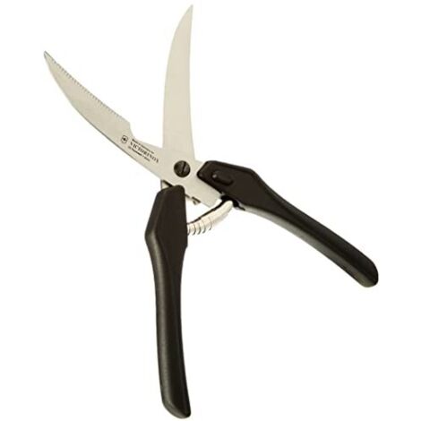 Trinciapolli Inox Victorinox V-7.63 43