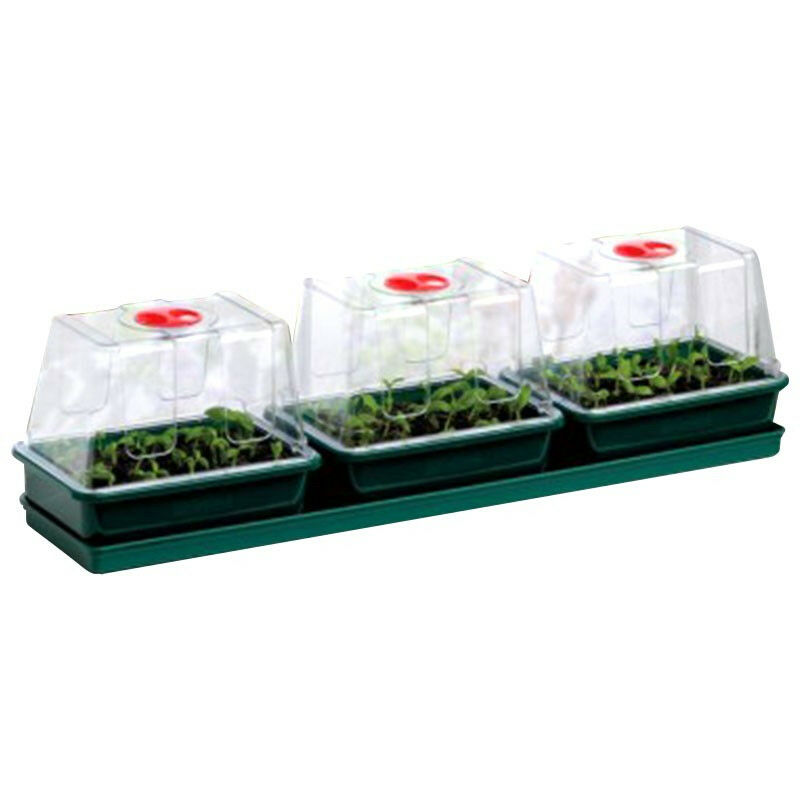 Trio de mini serres rigides - 76 x 18,5 x 20,5 cm Garland germination-bouturage