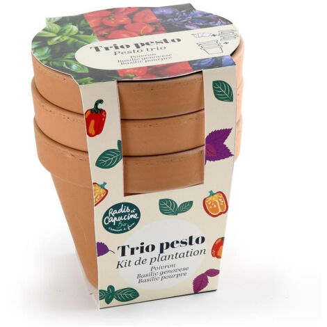 Trio de pots en terre cuite - Pesto Bio