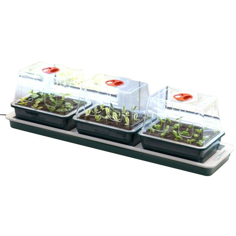 Trio de serres chauffantes - 76 x 18 x 20,5 cm Garland germination-bouturage