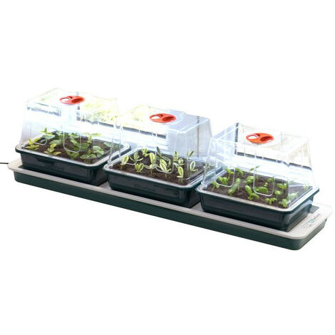 Trio de serres chauffantes - 76 x 18 x 20,5 cm - Garland germination-bouturage