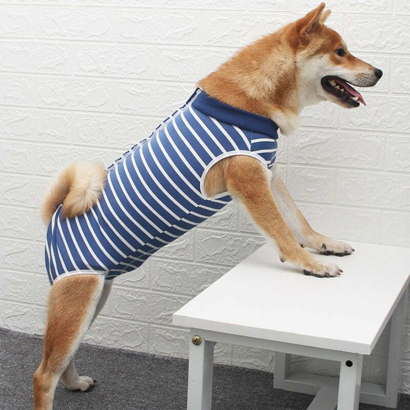 TRIOM Combinaison de récupération pour Chien,vêtements chirurgicaux pour Chiot Anti-léchage Chaton Gilet Post-opératoire Convient pour plaies ou des