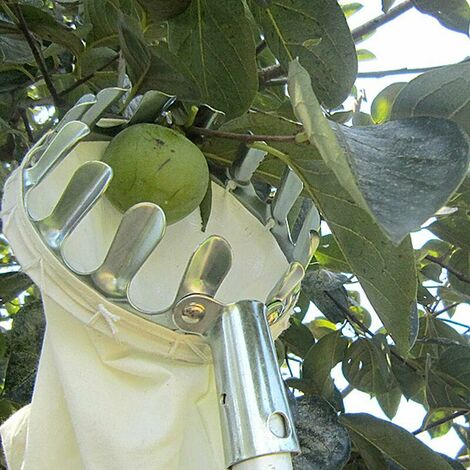TRIOM Outil de Cueillette de Fruits,Cueilleurs de Fruits Outils de Cueillette de Jardinage Métal Cueille-Fruits avec Sac de Collecte pour la Récolte de Pommes, Agrumes, Poires, Pêches, Outils de Jardi