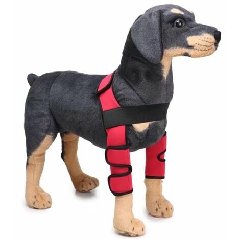 Neoally Coudière de protection pour chien pour coude et épaule canine pour  hygroma, dysplasie, arthrose, callosités, escarres et luxation de l'épaule
