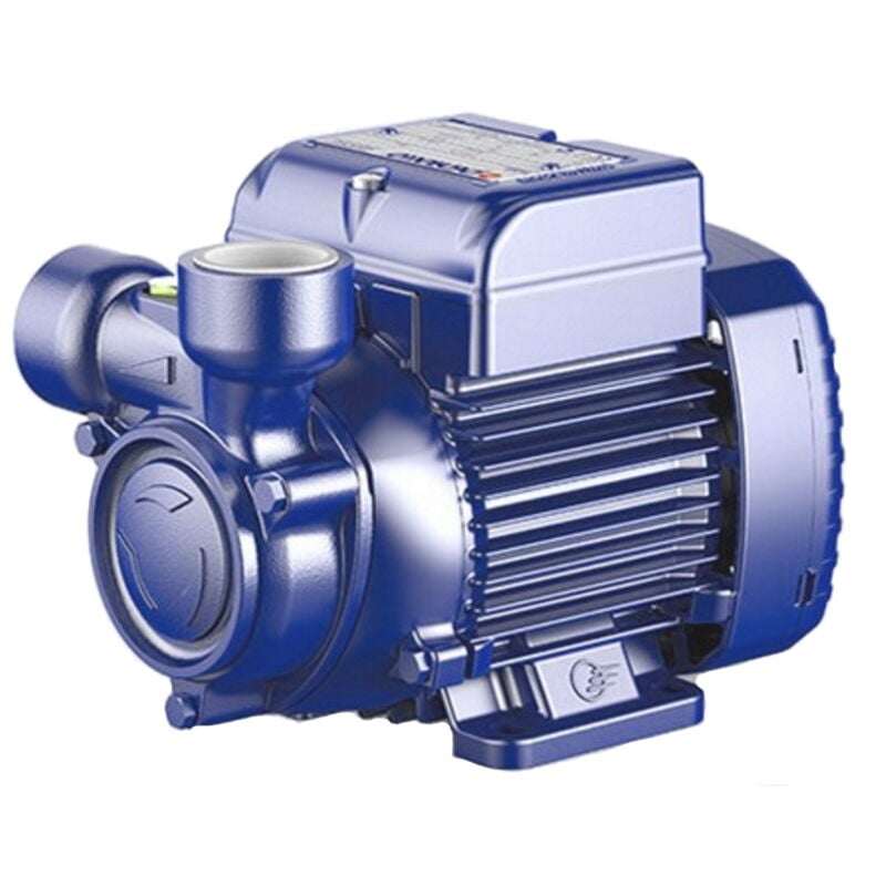 Triphasé PQ300 Pedrollo Electropompes monobloc à accélération périphérique 400V