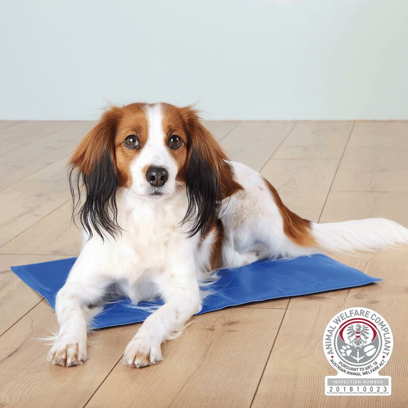 

Alfombrilla refrescante, 100 x 60 cm, Azul - Trixie