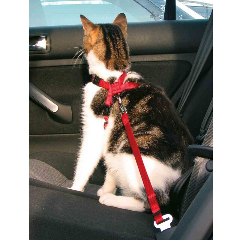 

Arnés y Cinturón seguridad Gatos, 20-50 cm, Rojo - Trixie
