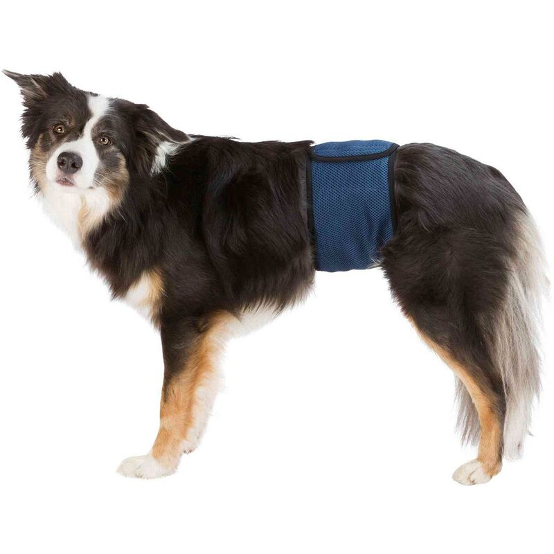 

Banda Abdomen Perros Macho, S, 29–37cm,Azul Oscuro - Trixie
