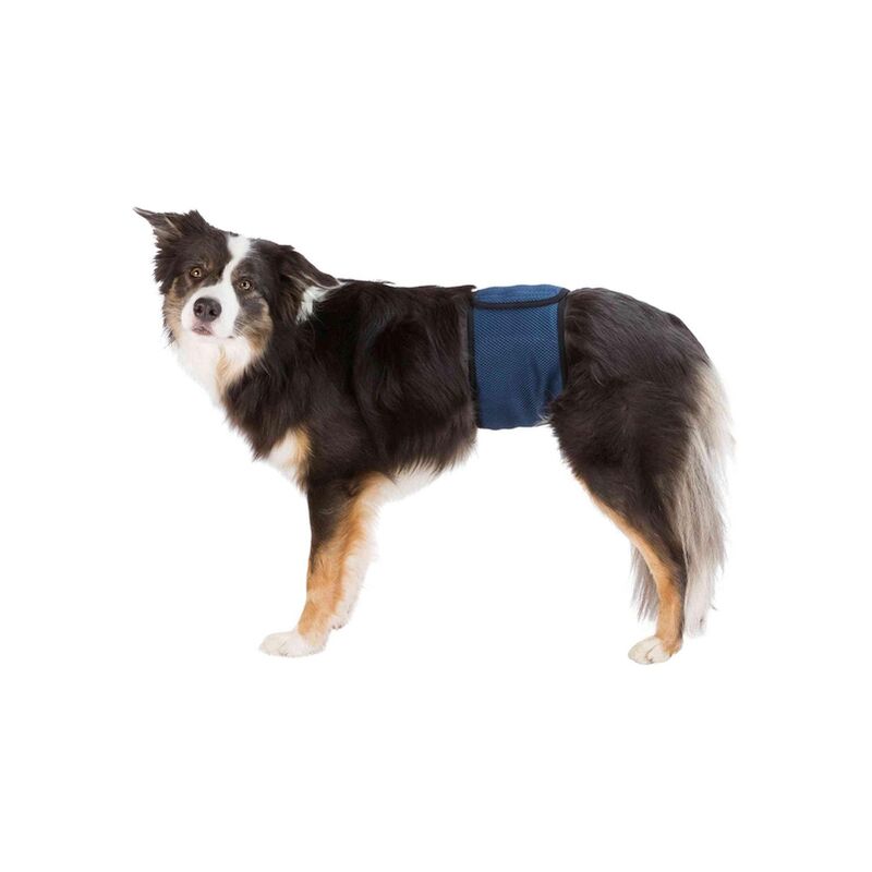 

Trixie Banda Abdomen Perros Macho,S–M,37–45cm,Azul Oscuro