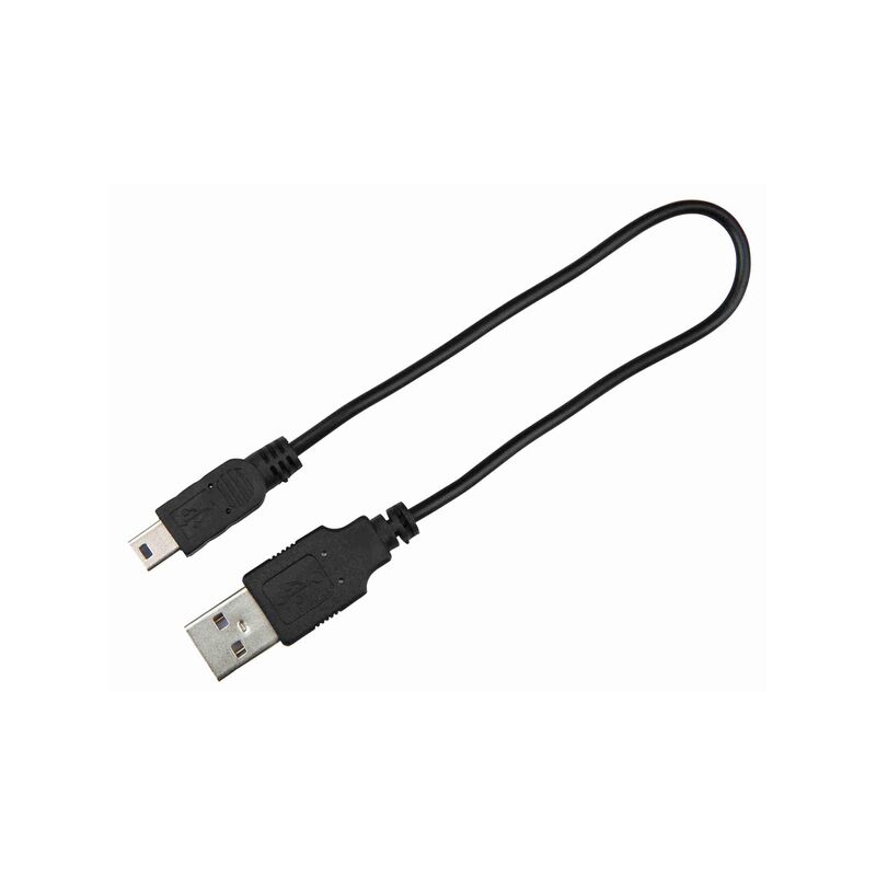 

Banda con Luz Flash USB, M-L, 50 cm/17 mm, Verde - Verde - Trixie