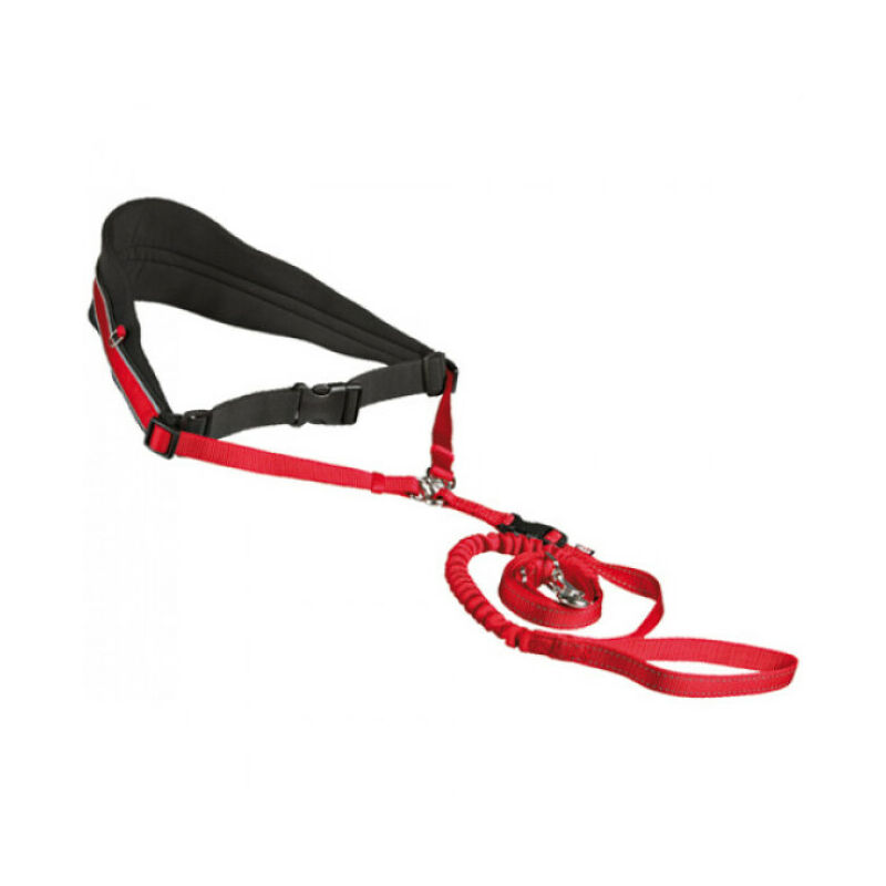 Ensemble ceinture et sangle jogging pour chien moyen et grand