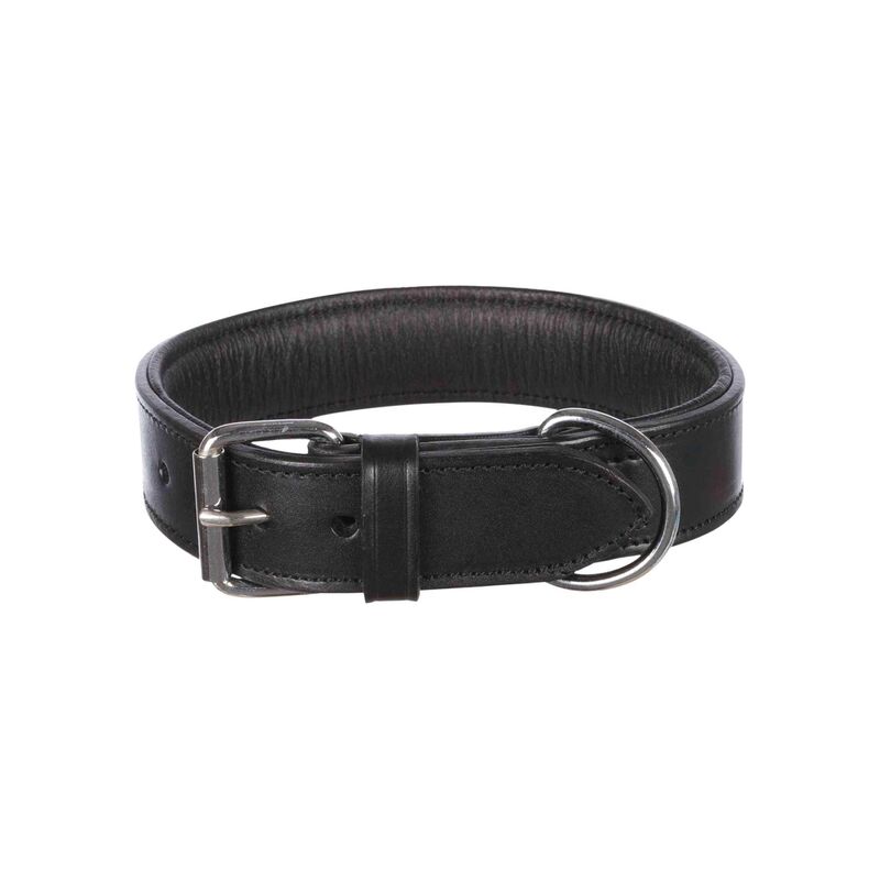 

Trixie Collar Active, L, 48-55 cm/40 mm, Negro