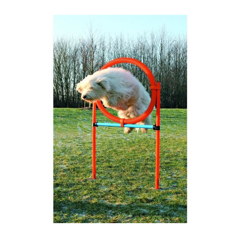 Trixie Fun Agility Ring - Verstellbarer Trainingsreifen für Hunde