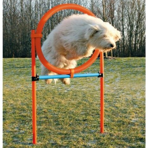 Anneau Agility pour chiens