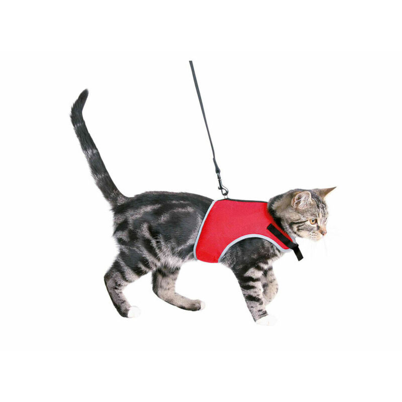 Harnais soft avec laisse de 1,20m Tour de ventre: 24-42 cm Couleurs aléatoires pour chat Trixie