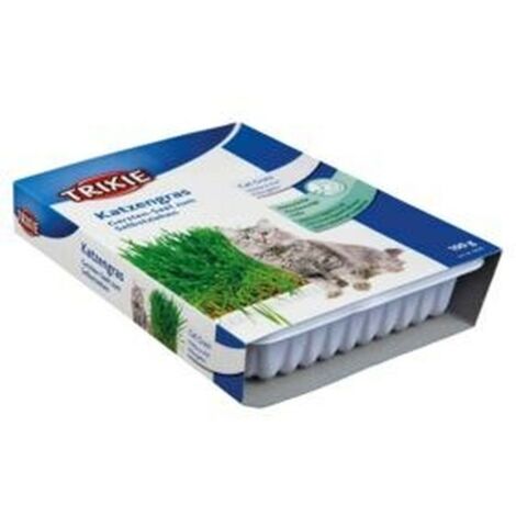 TRIXIE Hierba gatos con Bandeja 100g
