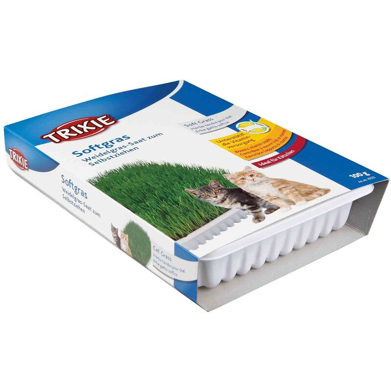 

Trixie Bandeja Bio hierba para gatos, aprox. 100 g