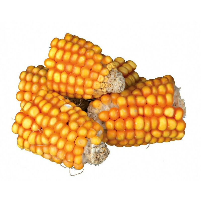 

Mazorca de maíz 300 gr
