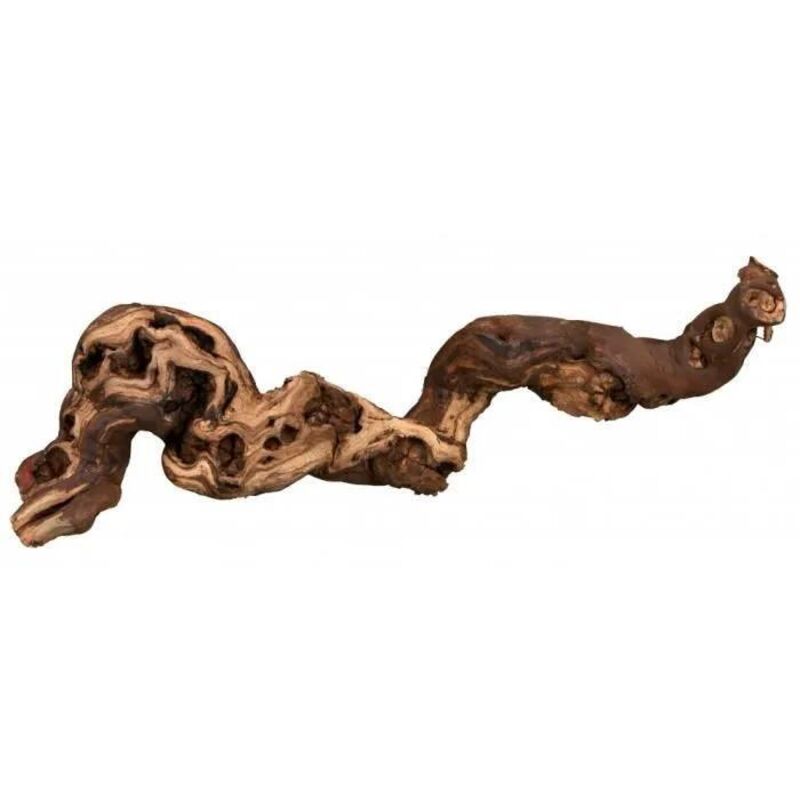 Trixie Naturdekoration Weinrebe 55-80 Cm Für Terrarium