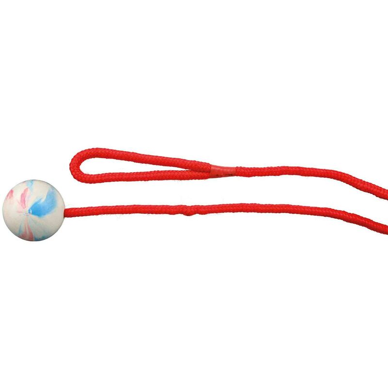 

Pelota con Cuerda, Caucho Natural ø7 cm, 30 cm - Trixie