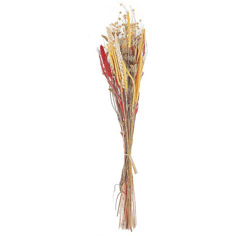Beliani Trockenblumenstrauß Pampeluna 65 Cm Naturfarben