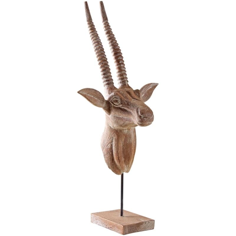 Trofeo antilope