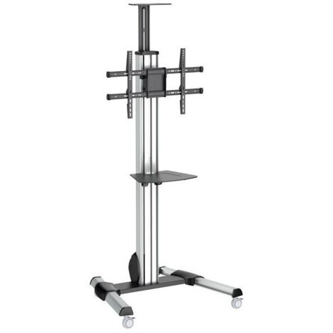 Trolley Startech STNDMTV70